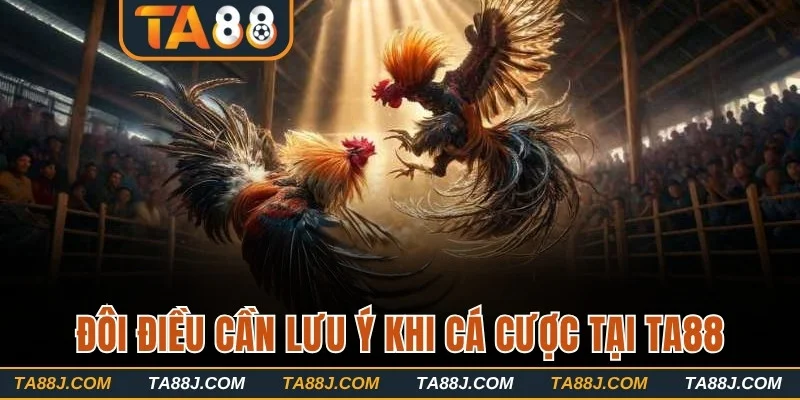Đôi điều cần lưu ý khi cá cược tại TA88