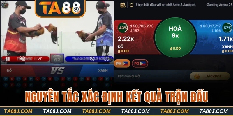 Nguyên tắc xác định kết quả trận đấu